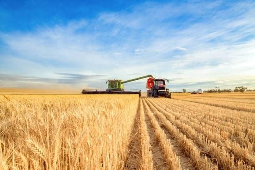 Teren agricol extravilan de 1100000 mp, în Stâlpu