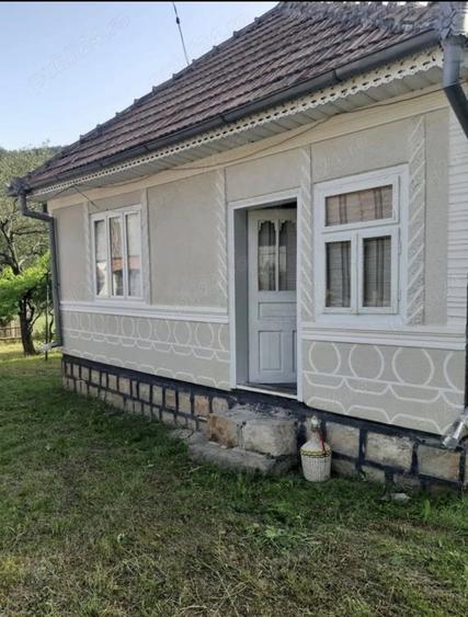 Casă cu Teren 3000 Mp în Coza