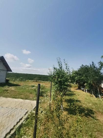 Casă cu 4 camere cu Teren 1800 Mp în Exterior Vest