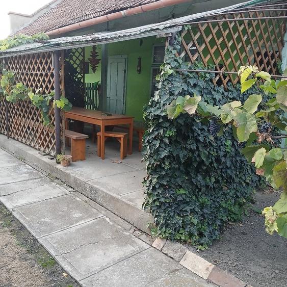 Casă cu 3 camere cu Teren 1095 Mp în Central