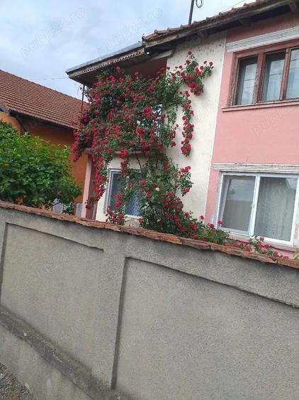 Casă cu Teren 4522 Mp în Ilia