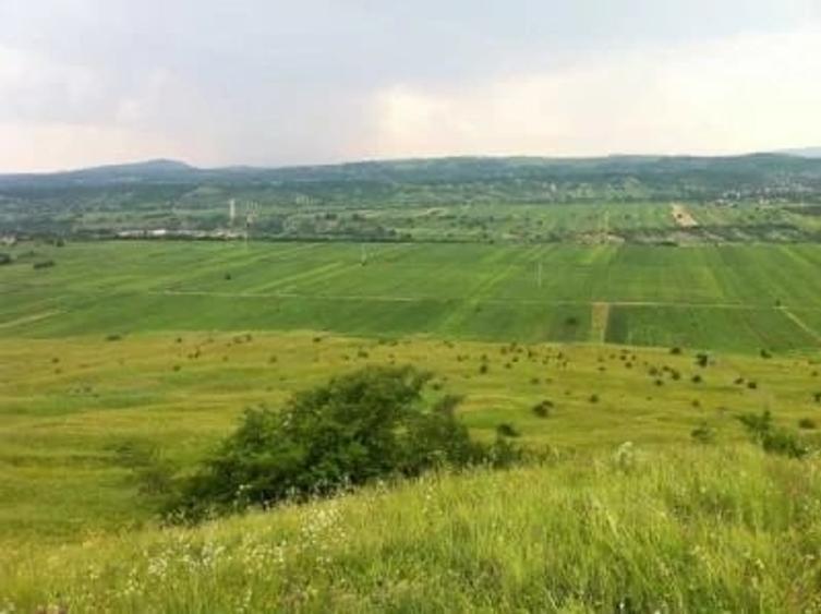 Teren de 5000 mp, în Drajna