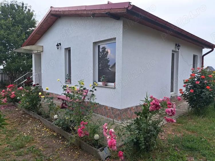 Casă cu 2 camere cu Teren 864 Mp în Central