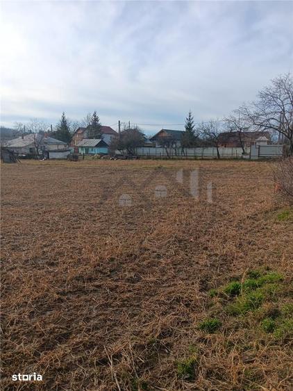 Teren de 3500 mp, în Bârnova