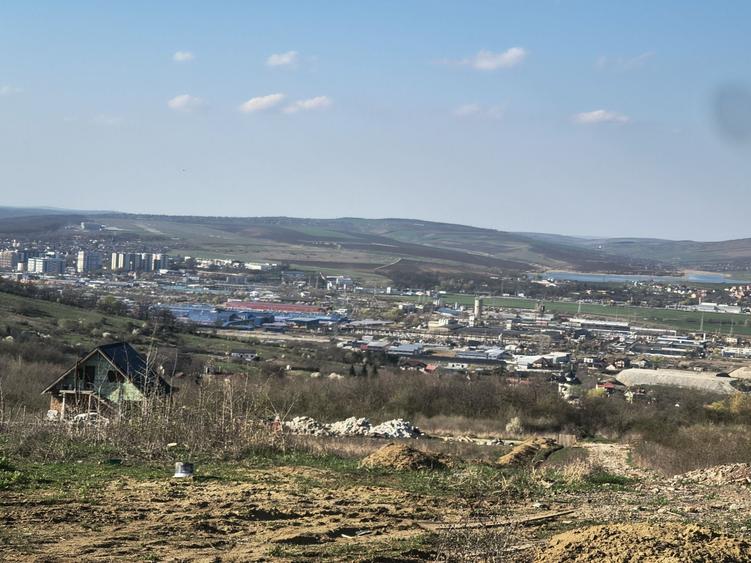 Teren Vladiceni , Tomesti panorama deosebita - 4