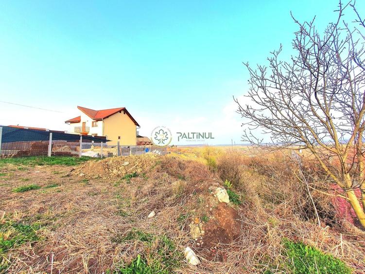 Teren Construcții intravilan de 1033 mp, în Daia