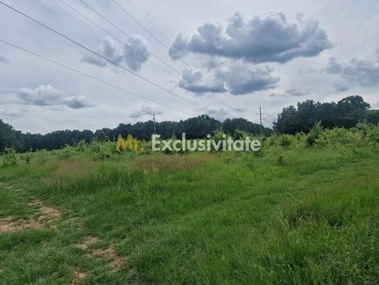 Teren de 12421 mp, în Big-Bascov