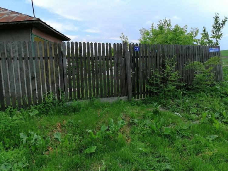 Casă cu 4 camere cu Teren 2300 Mp în Sud