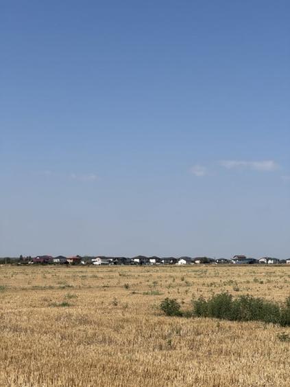 Teren agricol extravilan de 10000 mp, în Dragomirești-Vale