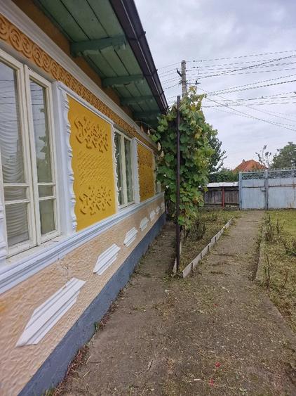 Casă cu 4 camere cu Teren 3000 Mp în Bucșești