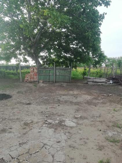 Casă cu 3 camere în Odobești