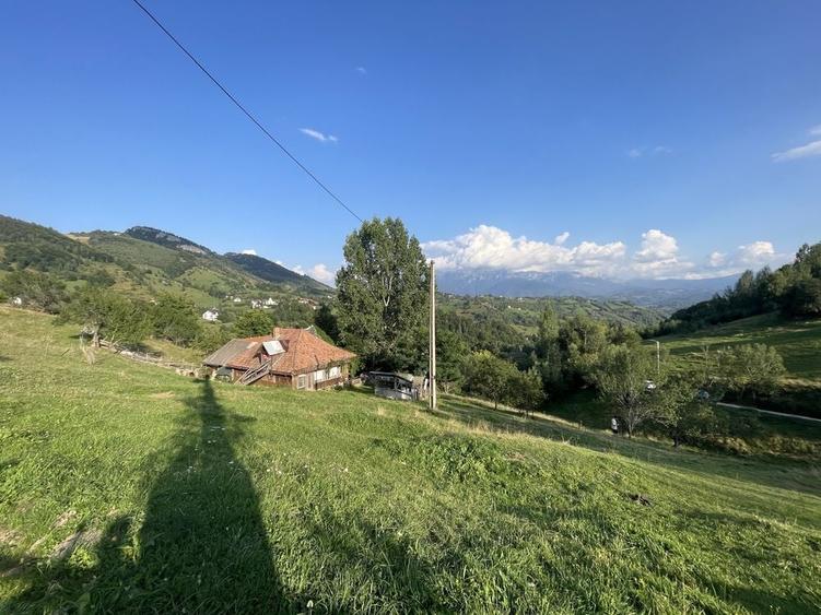 Teren de 12000 mp, în Bran