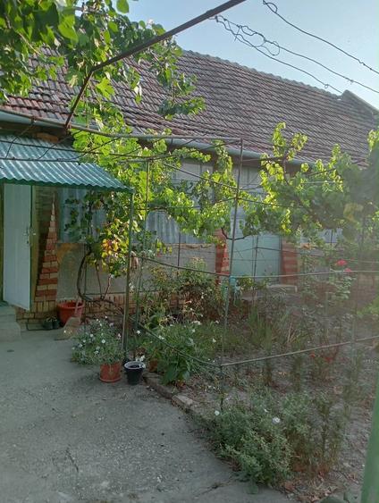 Casă cu Teren 150 Mp în Checea