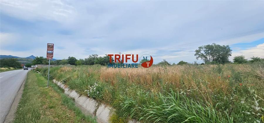 Teren Construcții intravilan de 9087 mp, în Ighiu