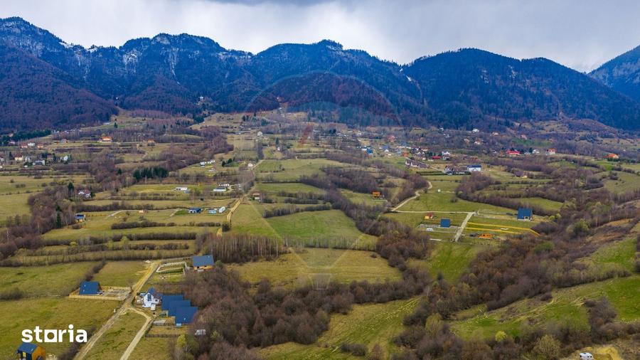 Teren de 480 mp, în Tohănița