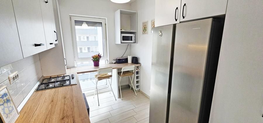 Apartament cu 2 camere, mobilat în Theodor Pallady