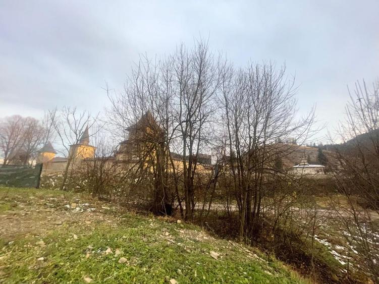 Teren Construcții intravilan de 22600 mp, în Sucevița