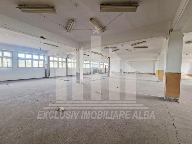 Spațiu industrial, de 1,100 mp, în Bărăbanț