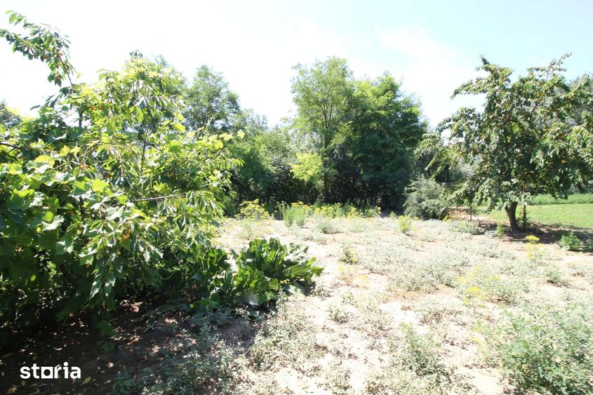 Casă cu 3 camere cu Teren 999 Mp în Siret