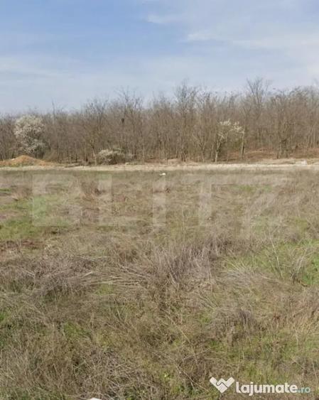 Teren intravilan, 1293 mp, zona Damila - 1