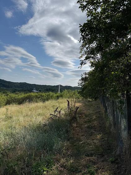 Teren de 2580 mp, în Poiana