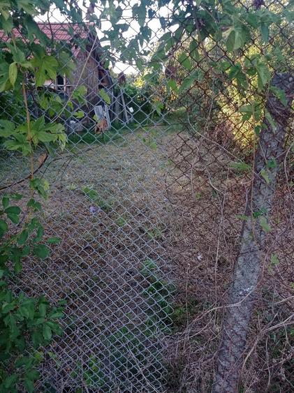 De vanzare teren intravilan in comuna Gurahon?. - 3