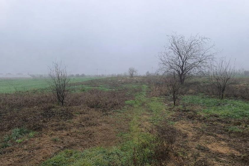Teren Construcții intravilan de 2007 mp, în Câmpurelu