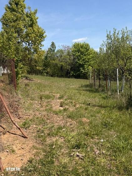 Teren de 1400 mp, în Fărcașa
