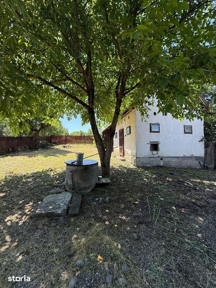 Casă cu 4 camere cu Teren 1900 Mp în Frunzeni