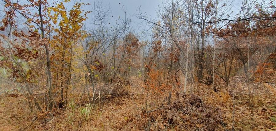 Teren Construcții intravilan de 3000 mp, în Someșu Rece