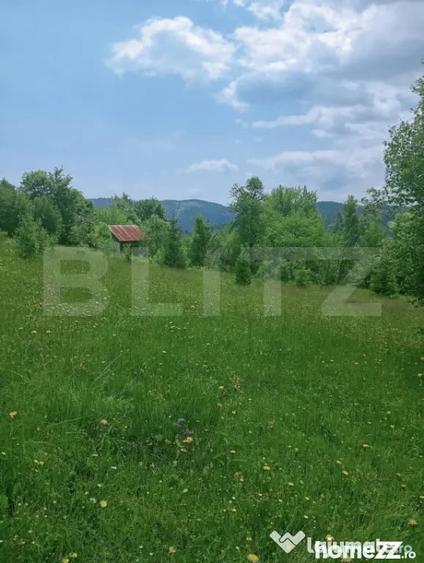 Teren în Scărișoara