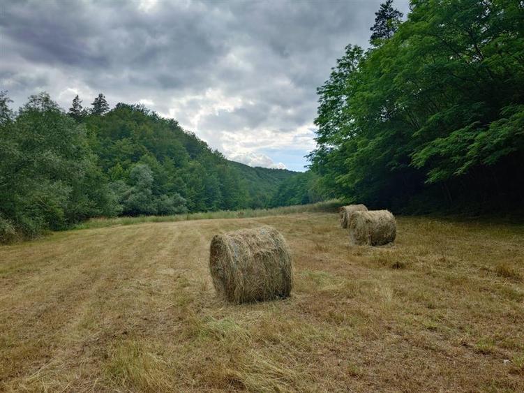 Teren intravilan de 5800 mp, în Podele