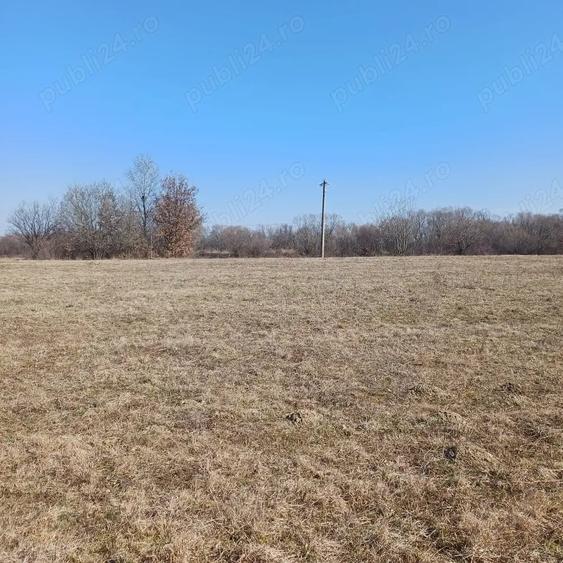 Teren de 3200 mp, în Sebeș