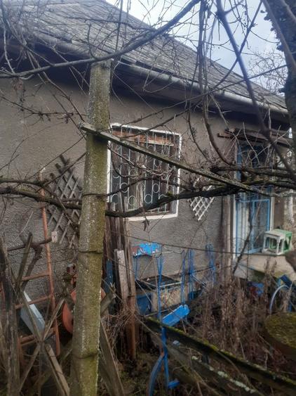 Casă cu 3 camere în Central