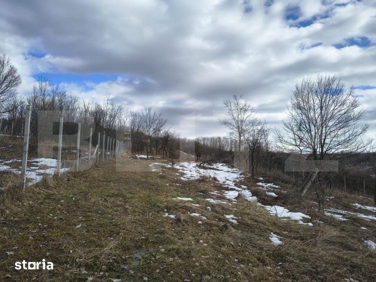Teren de 10000 mp, în Păulești