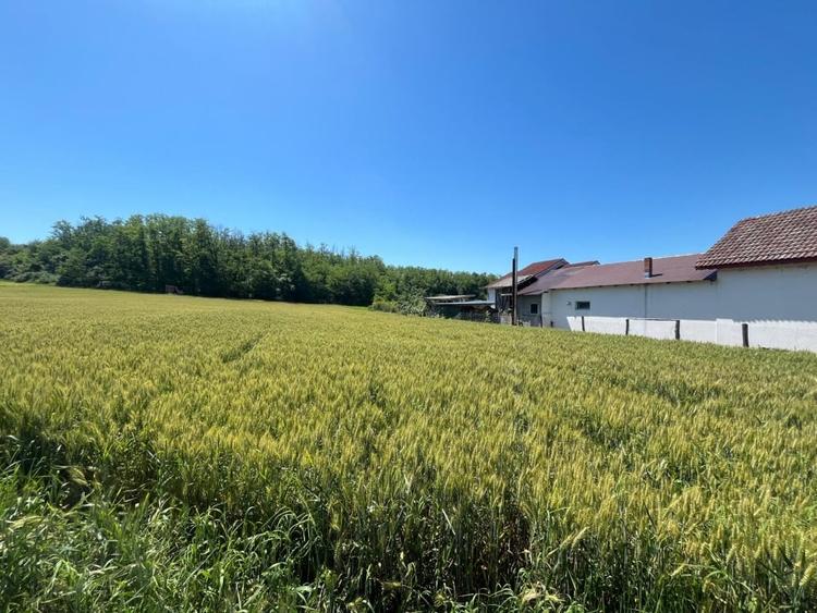 Teren intravilan cu vedere la pădure, 2.533 mp, Melinești, Amărăști - 1