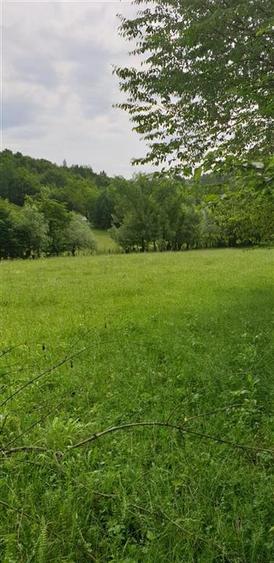 Teren Construcții extravilan de 5000 mp, în Cerdac