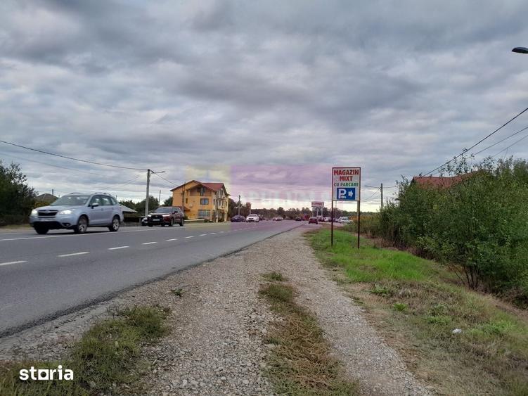 DE VANZARE TEREN 2000 MP - COSERENI( il ) - 7
