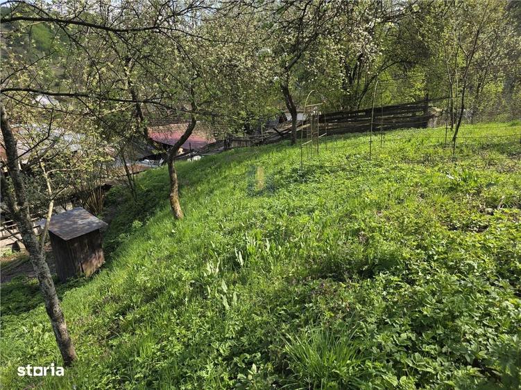 Casă cu 3 camere cu Teren 3748 Mp în Nădrag