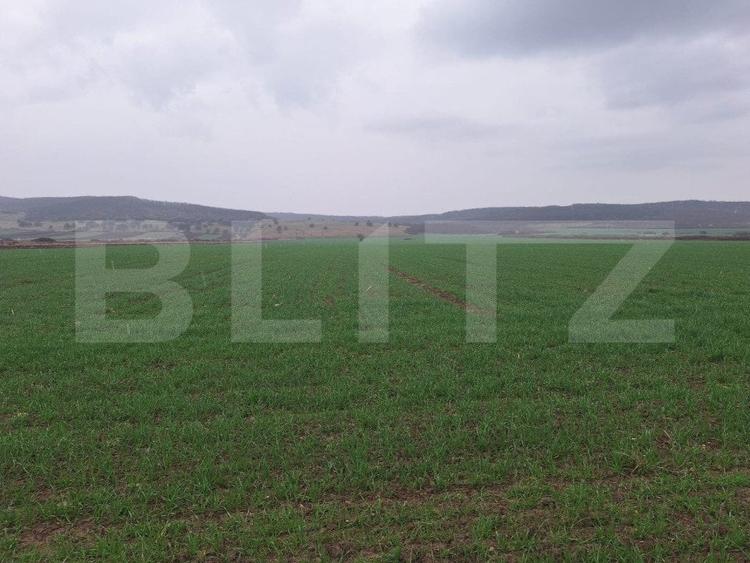 Teren agricol extravilan de 4200 mp, în Cugir