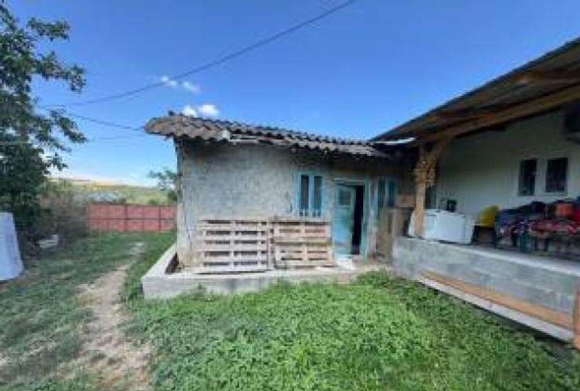 Casă individuală cu 3 camere cu Teren 1994 Mp în Negulești