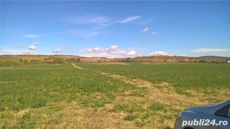 Teren de 39500 mp, în Valea Călugărească