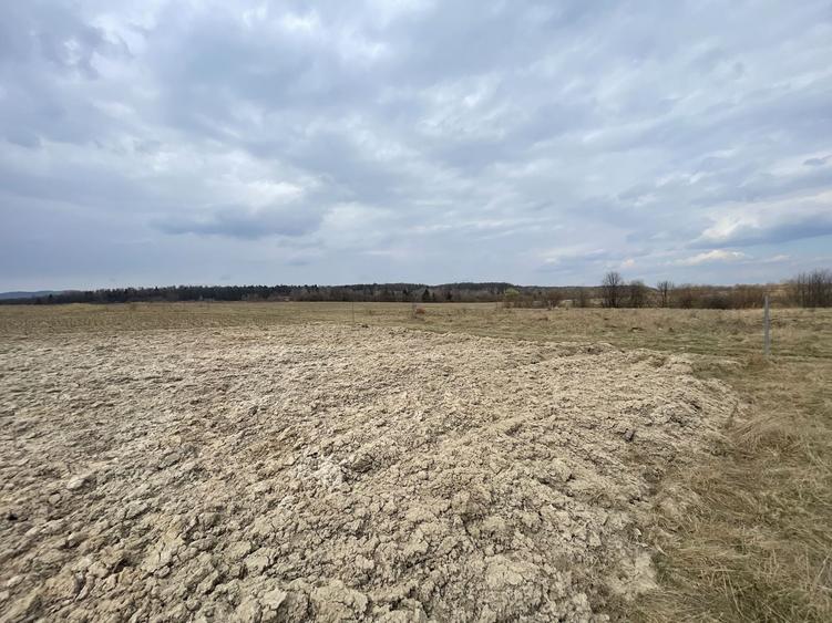 Teren agricol extravilan de 2300 mp, în Horodnic de Sus