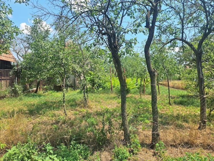 Casă cu Teren 5095 Mp în Călacea