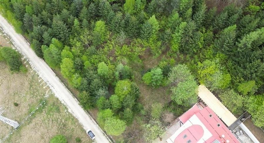 Teren Construcții intravilan de 6500 mp, în Dâmbul Morii