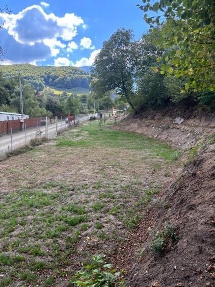Teren Construcții intravilan de 800 mp, în Râu Sadului