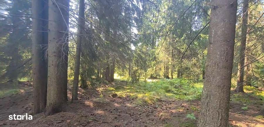 Teren de 6450 mp, în Neagra