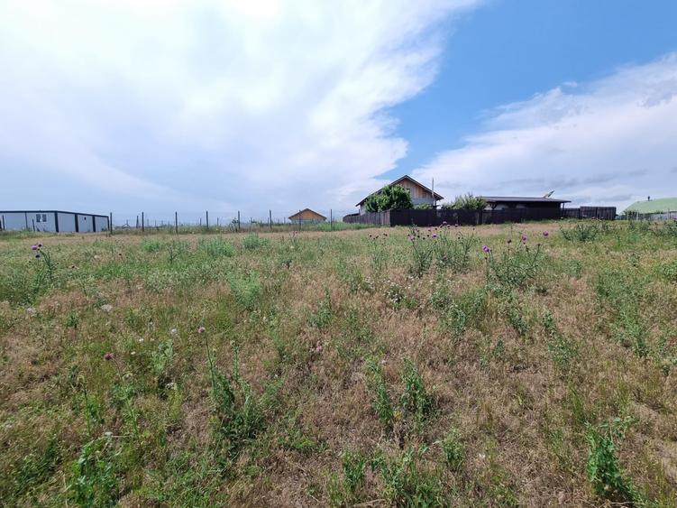 Teren Construcții extravilan de 873 mp, în Vânători