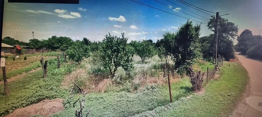 Teren de 4000 mp, în Crângurile