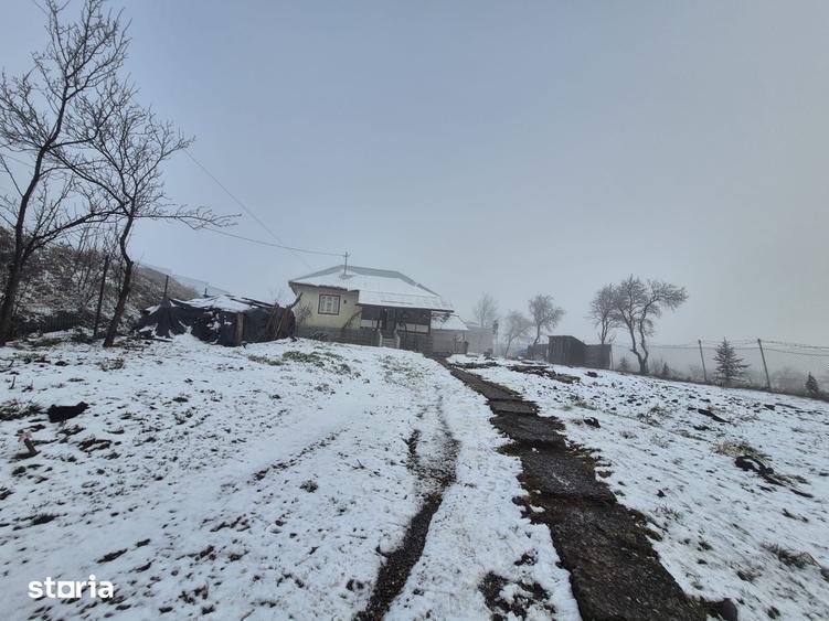 Casă cu 2 camere cu Teren 5135 Mp în Dobreni